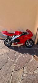 Minimoto replica Ducati