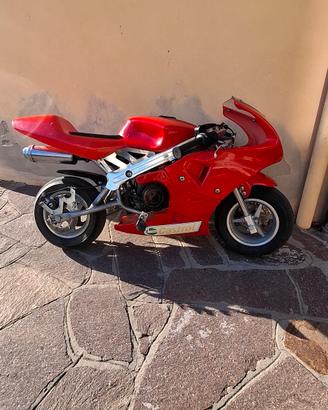 Minimoto replica Ducati
