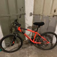mountain bike bambino