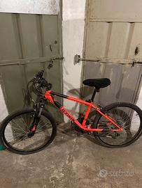 mountain bike bambino