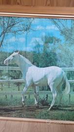 Puzzle cavallo bianco 2000 pezzi