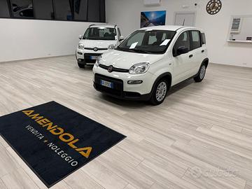 Fiat Panda FyreFly Hybrid S&S
