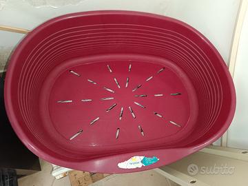 cuccia cane in plastica 