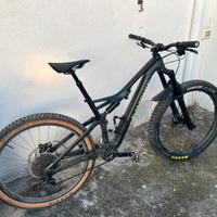 Specialized stump jumper s-works