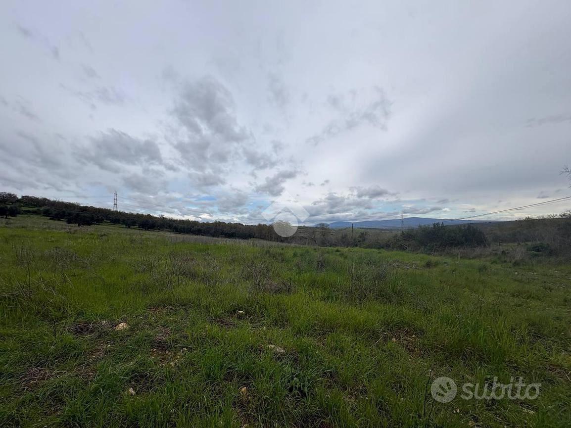 TER. AGRICOLO A MONTE ROMANO - Vista 2