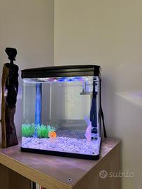 Acquario Nobleza Nano 7 Litri con Filtro e LED