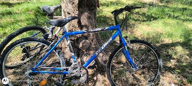 bicicletta sport da sistemare 
