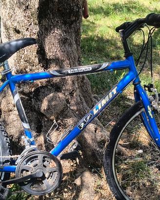 bicicletta sport da sistemare 