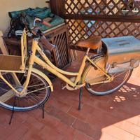 bicicletta elettr