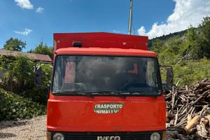 Camion trasporto animali