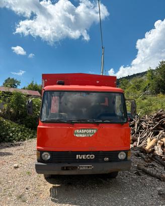 Camion trasporto animali