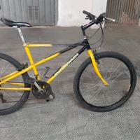 mtb 26 bianchi ragno 