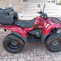 Quad Kawasaki KL-KVF 360