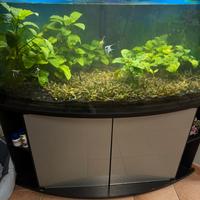 acquario ad angolo 300 litri con mobile