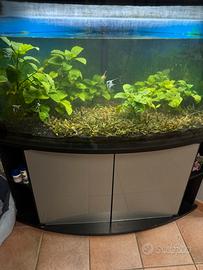 acquario ad angolo 300 litri con mobile