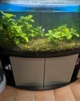 acquario ad angolo 300 litri con mobile