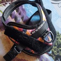 Pettorina julius k9 2xs baby 2