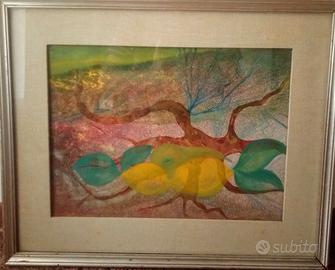 Luigi Campione- 1973-Sardegna -Limoni per Eleonora