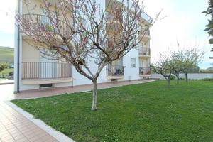 MULTILOCALE A PINETO