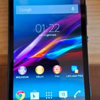 Sony Xperia modello C5303