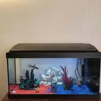 Set Completo Acquario + Accessori e Taniche