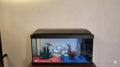 Set Completo Acquario + Accessori e Taniche
