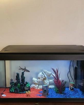 Set Completo Acquario + Accessori e Taniche