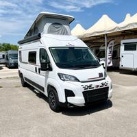 Roller Team Livingstone 2 Sport Limited Pop Up