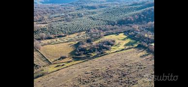 Tenuta 21 ettari