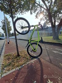 bicicletta