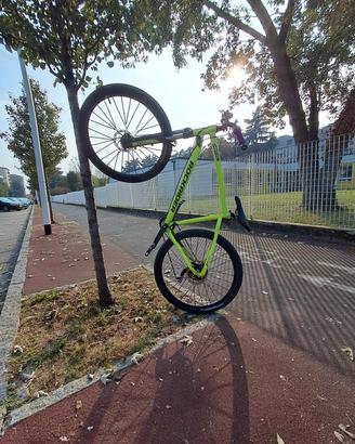 bicicletta