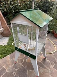 Gabbia per pappagalli e merli