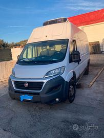 FURGONE FIAT DUCATO MAXI 2015