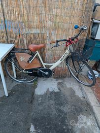 bici con cestino 