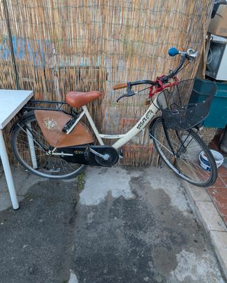 bici con cestino 