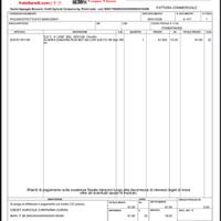 Scarpe antinfortunistica