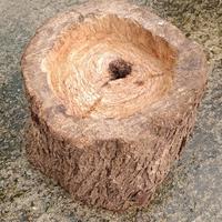 portavano legno