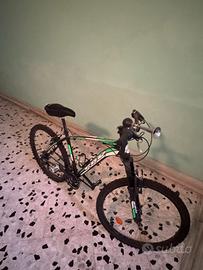 Bicicletta per ragazzo