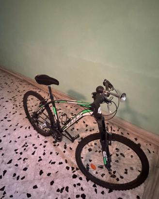 Bicicletta per ragazzo