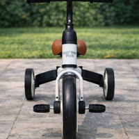 Bici bambino Tiger Bike Plus con rotelle 2/4 anni