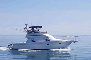 Mochi craft fisherman 34