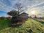 Immagine 20