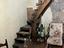 Immagine 8