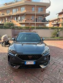 Cupra formentoz vz