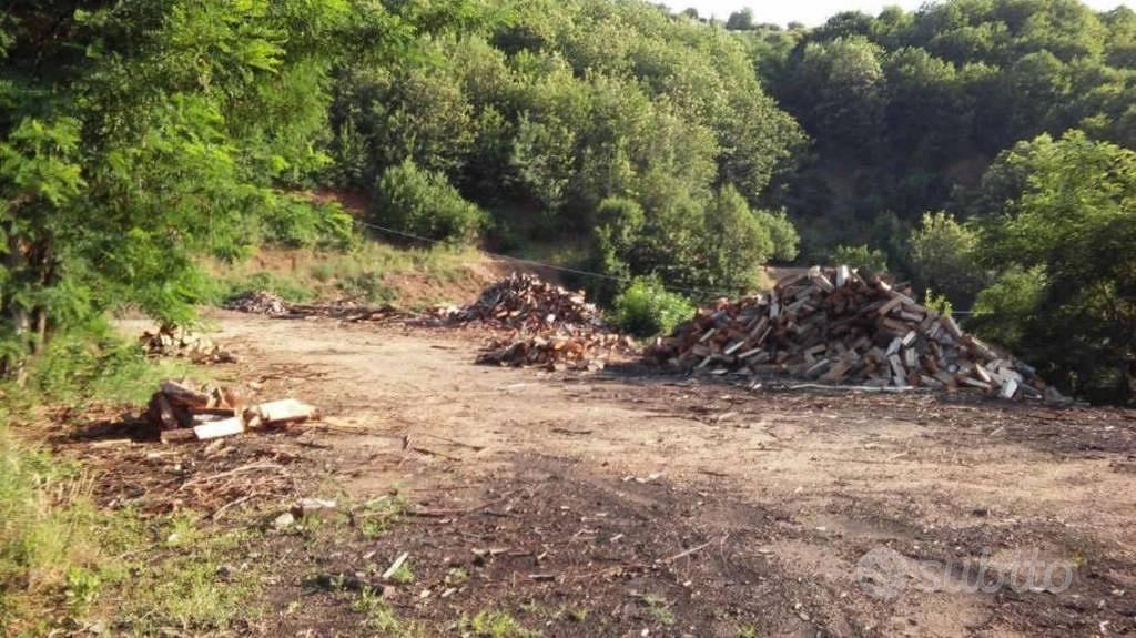 Immobile in asta di 12040 m² a Luzzi - Vista 3