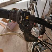 bicicletta da uomo ELITE CARNIELLI 28 POLLICI