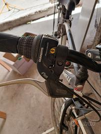 bicicletta da uomo ELITE CARNIELLI 28 POLLICI