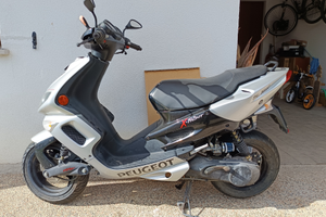 Motorino Peugeot xfight 50