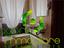 Immagine 12