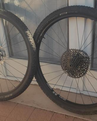 Ruote  29" MTB- FRM  "Original 30 color"
